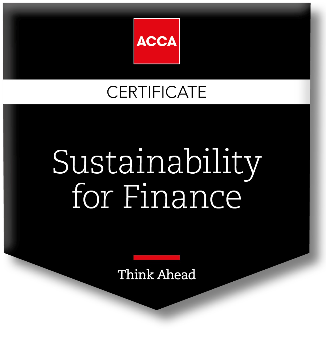 Sustainability in Finance